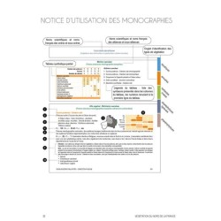 Végétation du nord de la France Végétation du nord de la France