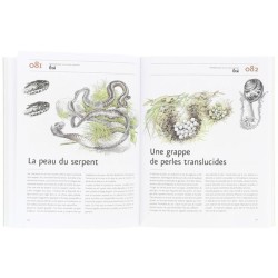 Guide des curieux de nature... en 150 scènes Guide des curieux de nature... en 150 scènes