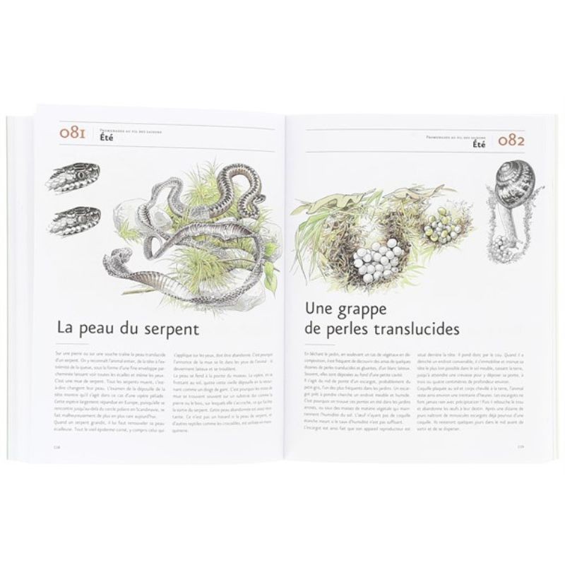Guide des curieux de nature ... en 150 scènes