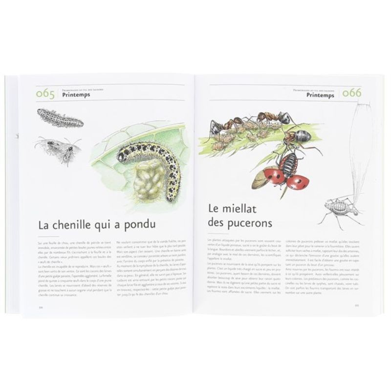Guide des curieux de nature ... en 150 scènes