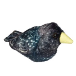 Peluche sonore - Etourneau sansonnet
