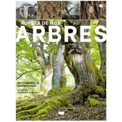 Auprès de nos arbres