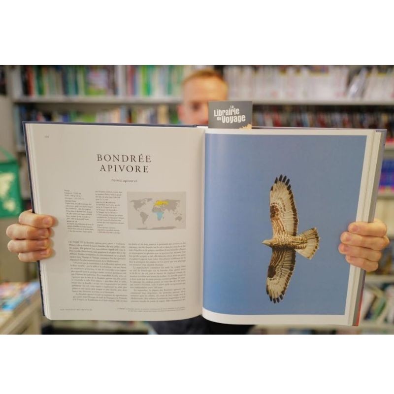 Les oiseaux migrateurs - Une histoire naturelle illustrée