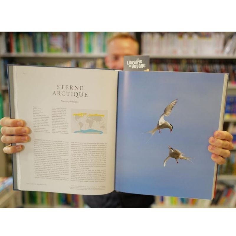Les oiseaux migrateurs - Une histoire naturelle illustrée