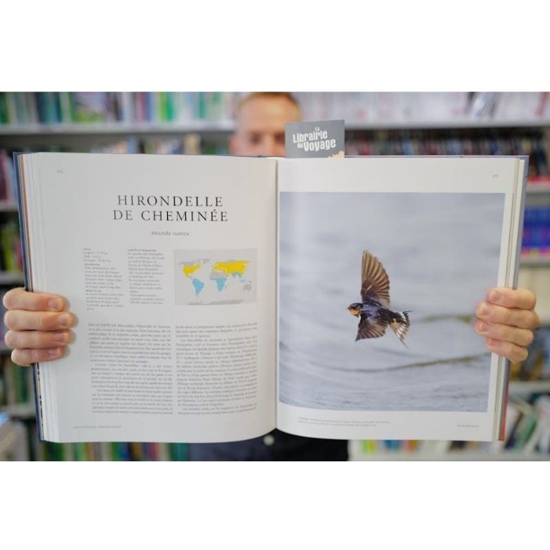 Les oiseaux migrateurs - Une histoire naturelle illustrée