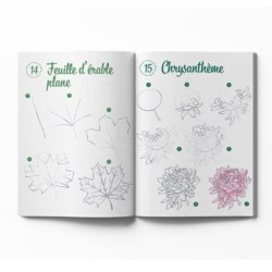 300 modèles à dessiner en pas-à-pas - Nature