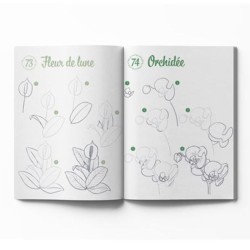 300 modèles à dessiner en pas-à-pas - Nature