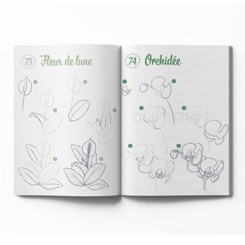 300 modèles à dessiner en pas-à-pas - Nature