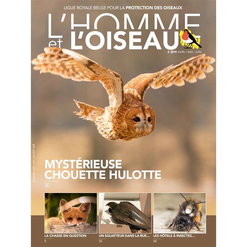 Année complète 2019 - L'Homme &amp; l'Oiseau