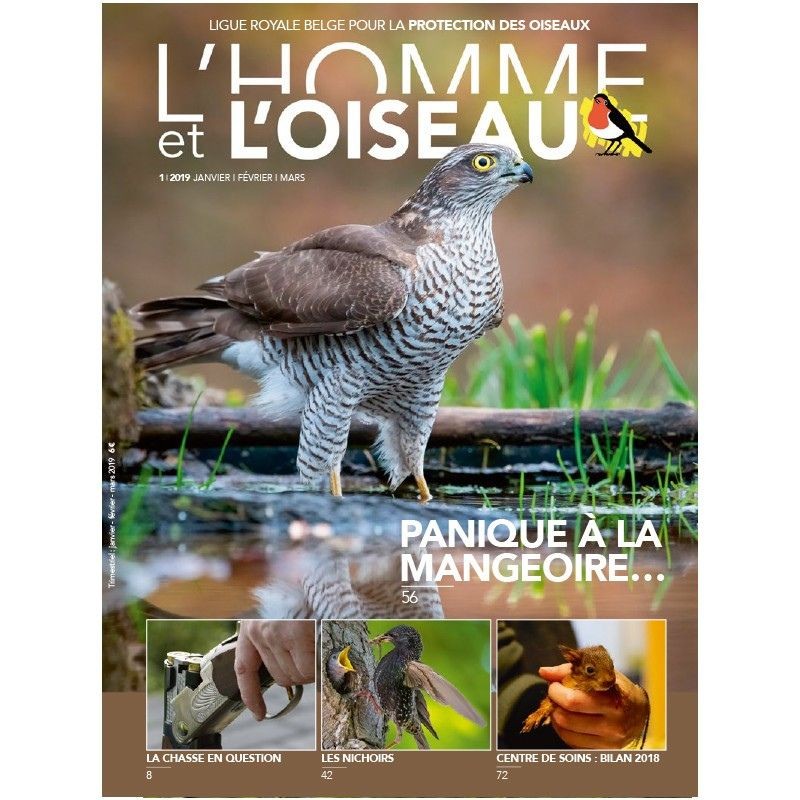 Année complète 2019 - L'Homme &amp; l'Oiseau