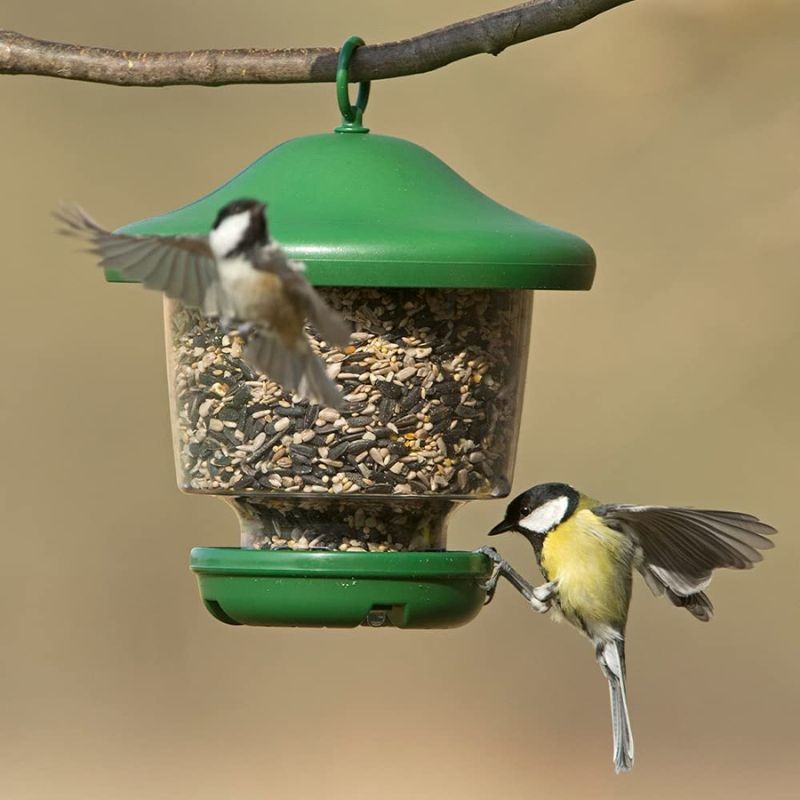 Mangeoire à graines pour oiseaux