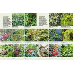 Accueillir la faune sauvage au jardin