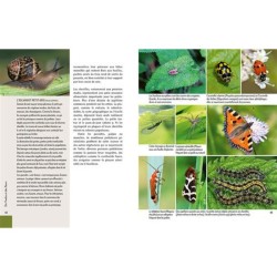 Accueillir la faune sauvage au jardin