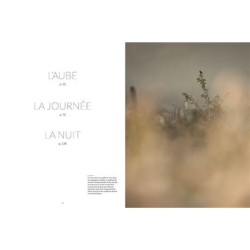 La Nature à 200 m de chez moi