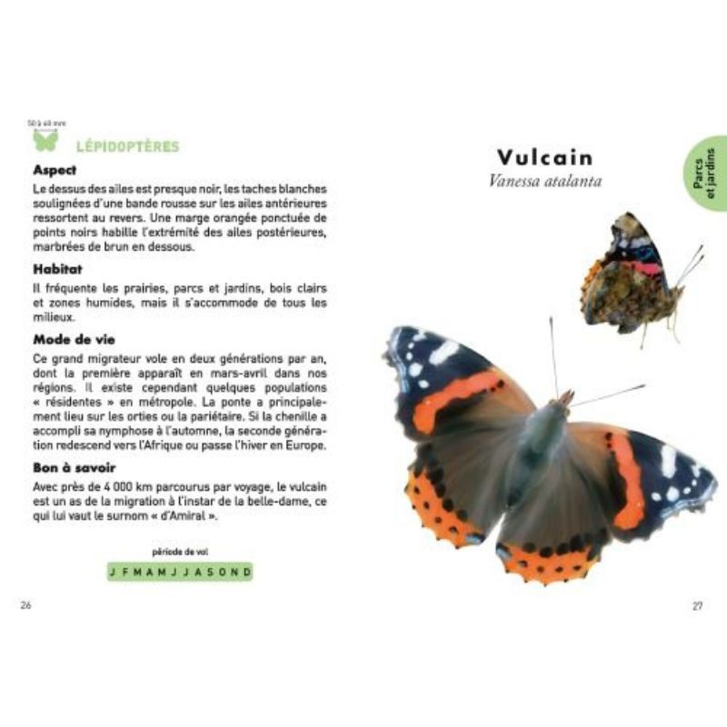 Le petit guide des insectes - 70 espèces d'insectes à découvrir