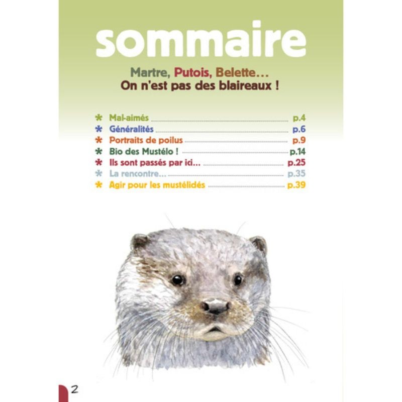 Martre, Putois, Belette… On n’est pas des blaireaux !