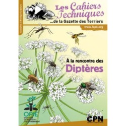 À la rencontre des diptères