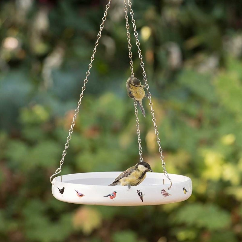 Mangeoire suspendue Oiseaux des jardins/Elwin van de Kolk