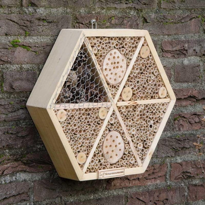 Hôtel à insectes Suraj