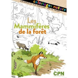 Les Mammifères de la forêt - Coloriages nature - CPN