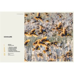 Le secret des oiseaux - Le guide pour les connaître