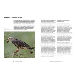 Le secret des oiseaux - Le guide pour les connaître