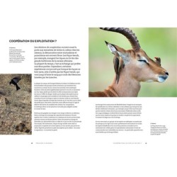 Le secret des oiseaux - Le guide pour les connaître