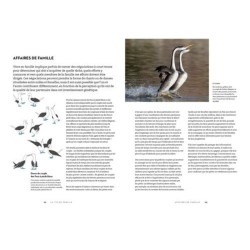 Le secret des oiseaux - Le guide pour les connaître