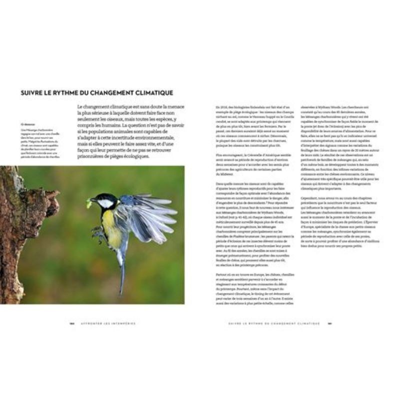 Le secret des oiseaux - Le guide pour les connaître