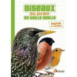 Oiseaux du jardin - en taille réelle