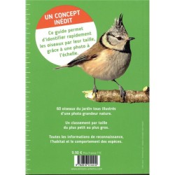 Oiseaux du jardin - en taille réelle Oiseaux du jardin - en taille réelle