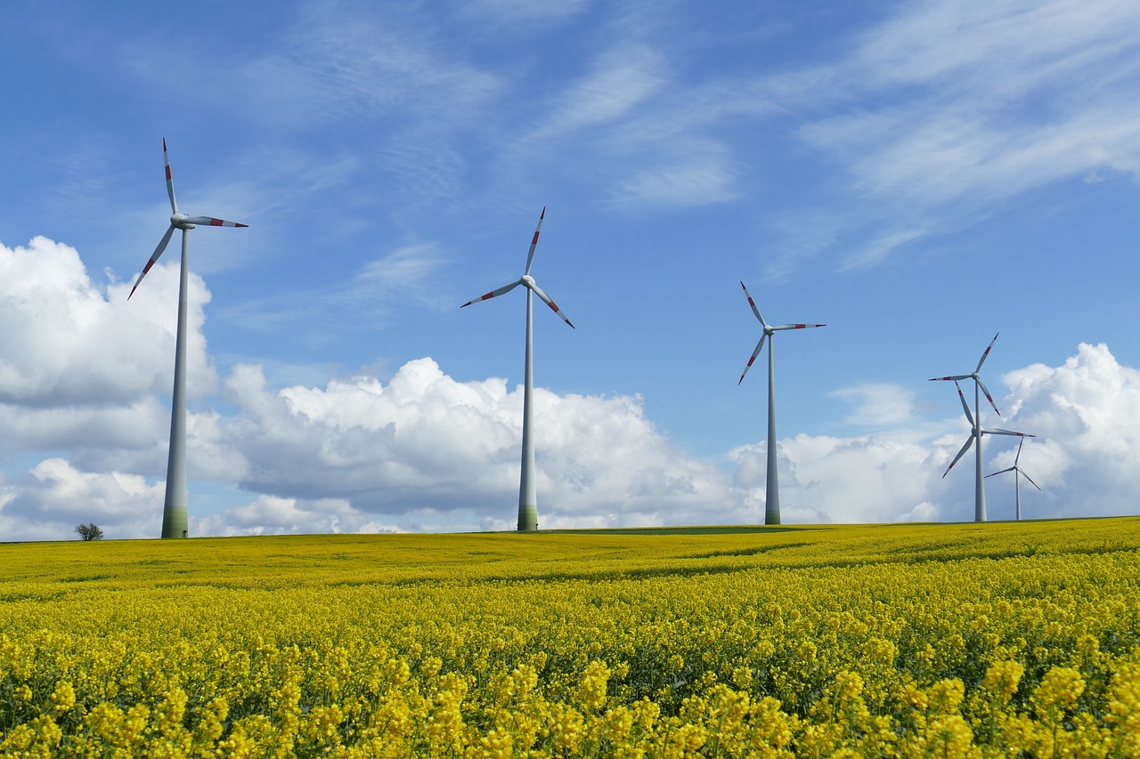 Eolienne-Champ-Jaune