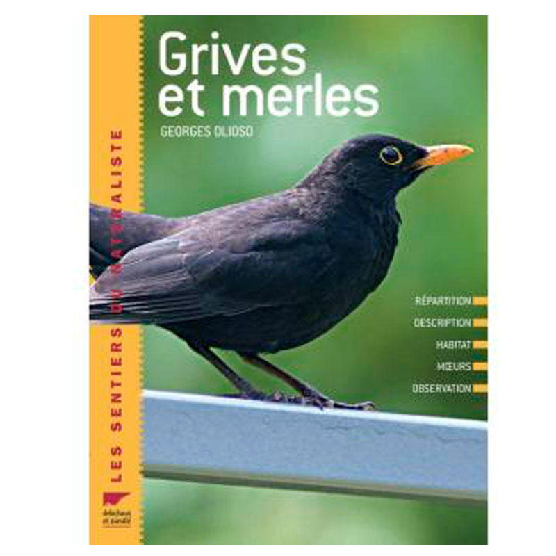 Grives Et Merles Ligue Royale Belge Pour La Protection Des Oiseaux