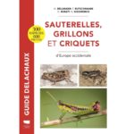 Sauterelles-grillons-et-criquets-dEurope-occidentale-Guide-Delachaux