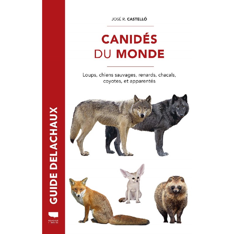 Le Renard: Description Guide Delachaux vie sociale mythologie comportement observation 