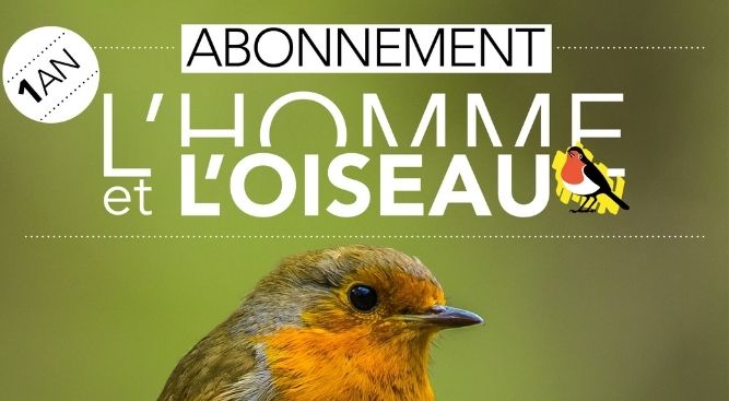 Abo L'homme Et L'oiseau - Ligue Royale Belge Pour La Protection Des Oiseaux