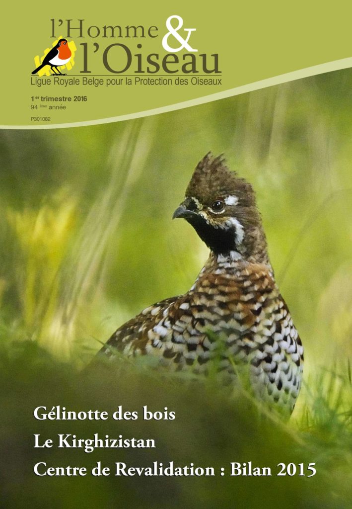 cover-Homme-et-l'Oiseau_1_2016