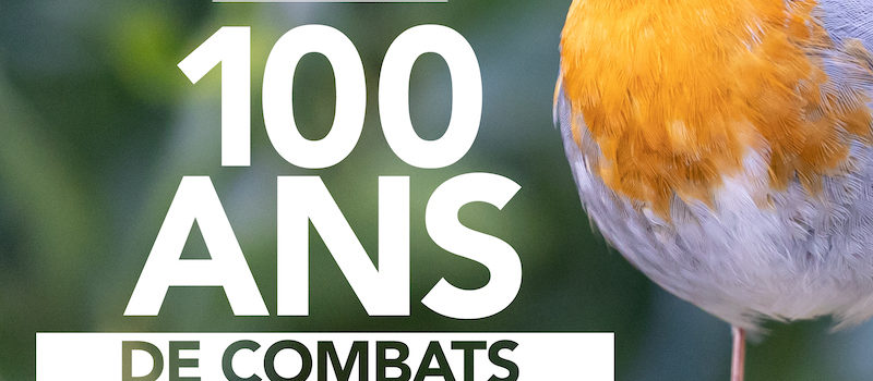 La Ligue Royale Belge pour la Protection des Oiseaux fête ses 100 ans !