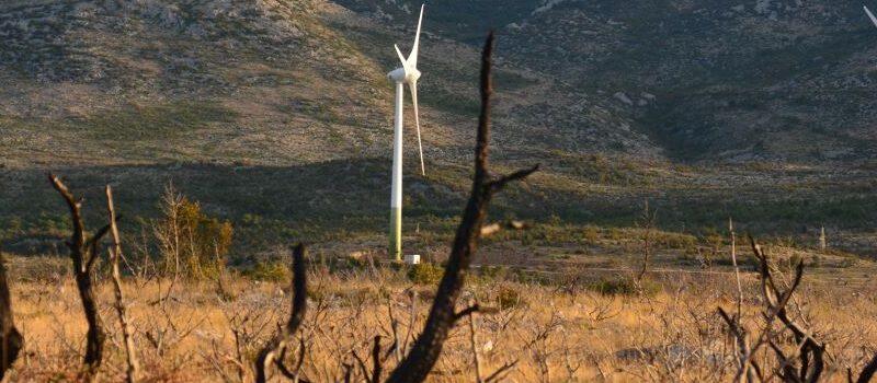 La nature sera-t-elle la grande perdante du déploiement des énergies renouvelables ?
