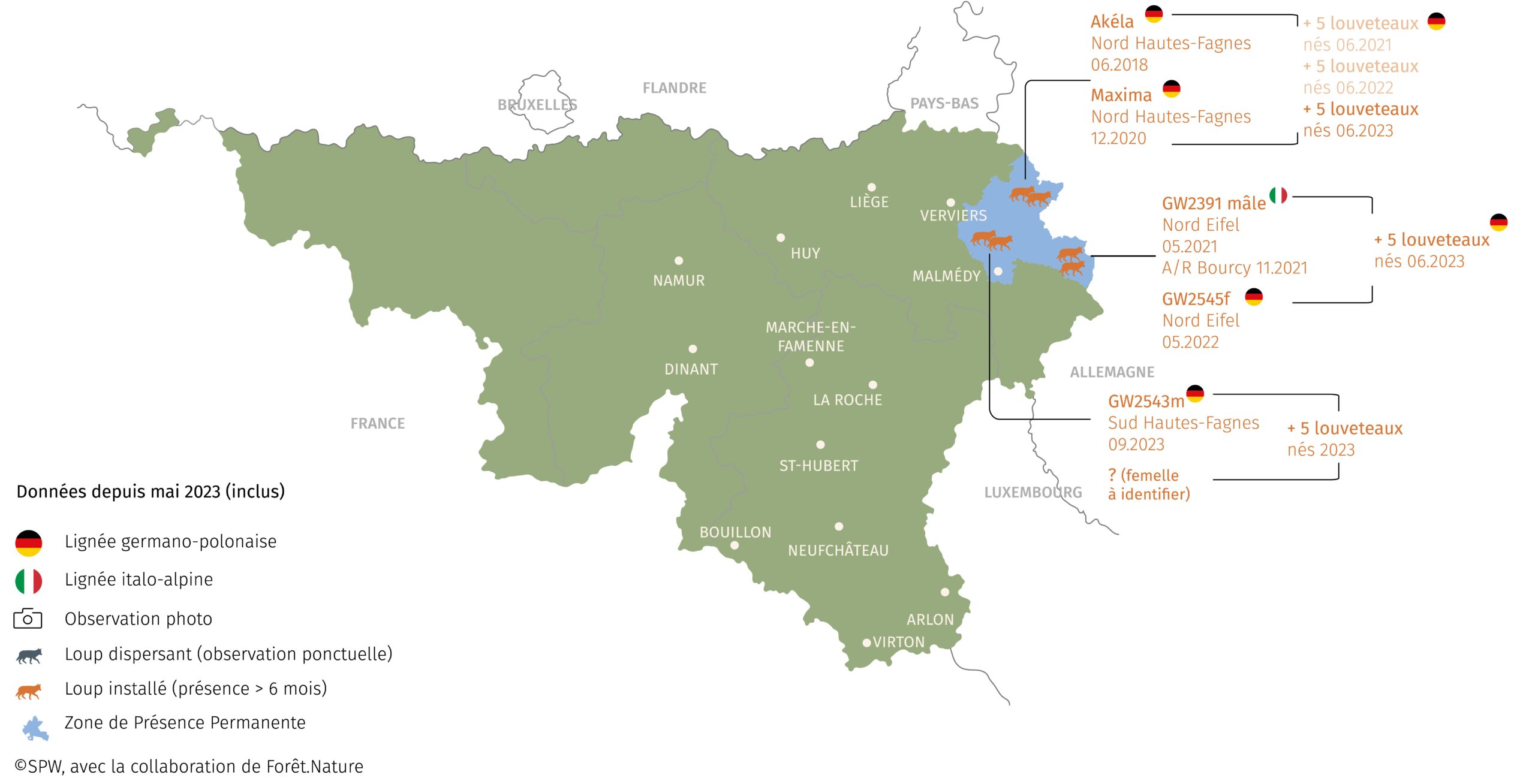 Carte de presence du loup en Wallonie