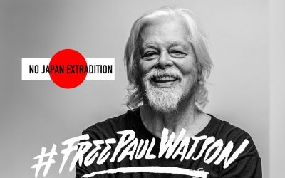 240725-FreePaulWatson-visuel-400x250-1-400x250