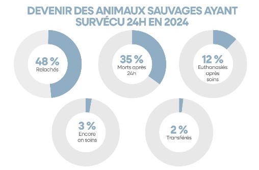 devenir des animaux sauvages