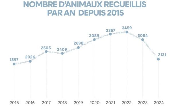 nbr animaux accueillis en 2025