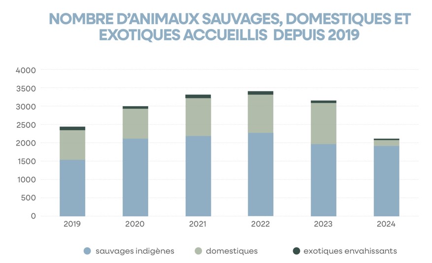 nbr animaux sauvages domestiques