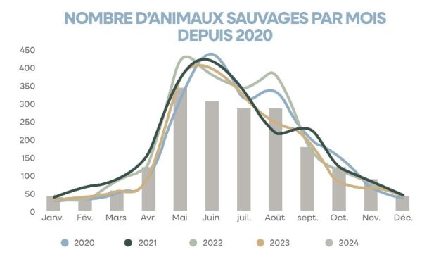 nbr animaux sauvages par mois