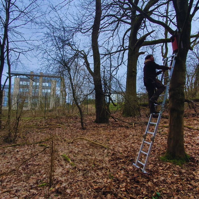 VC Axis Parc nichoirs