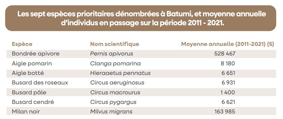 liste especes batumi