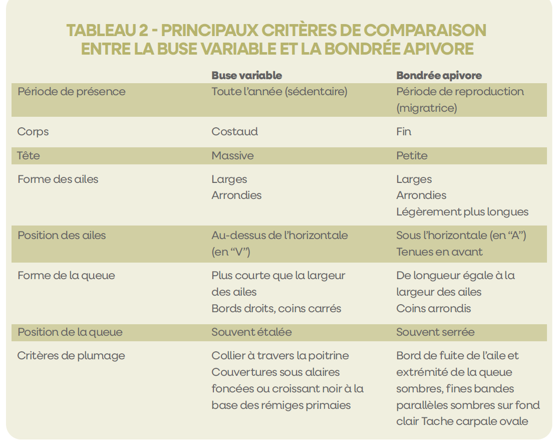Tableau2ComparaisonBuseBondree