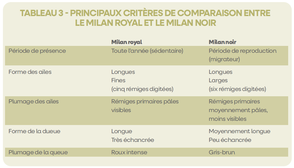 Tableau3ComparaisonMilans