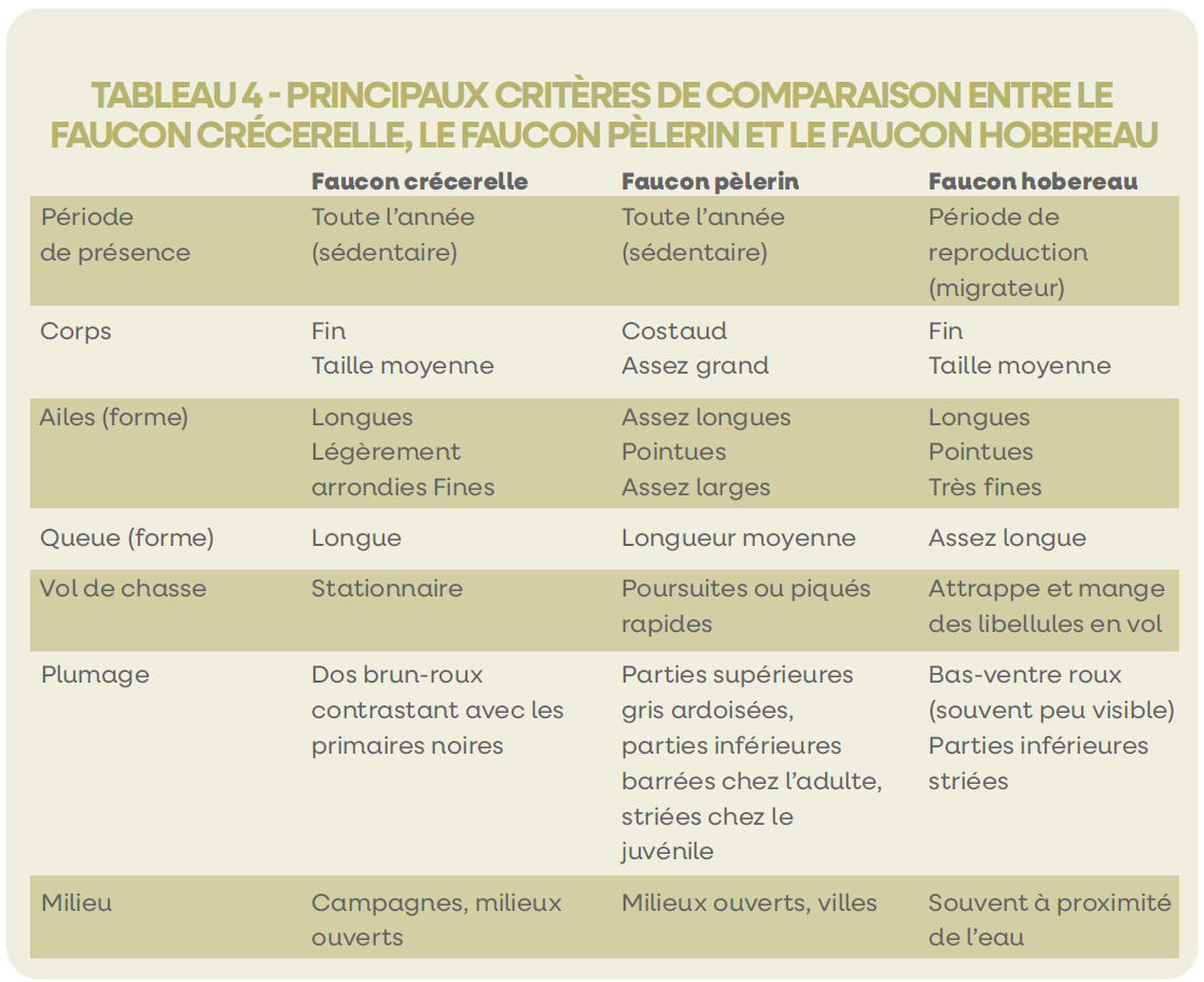Tableau4ComparaisonFaucons